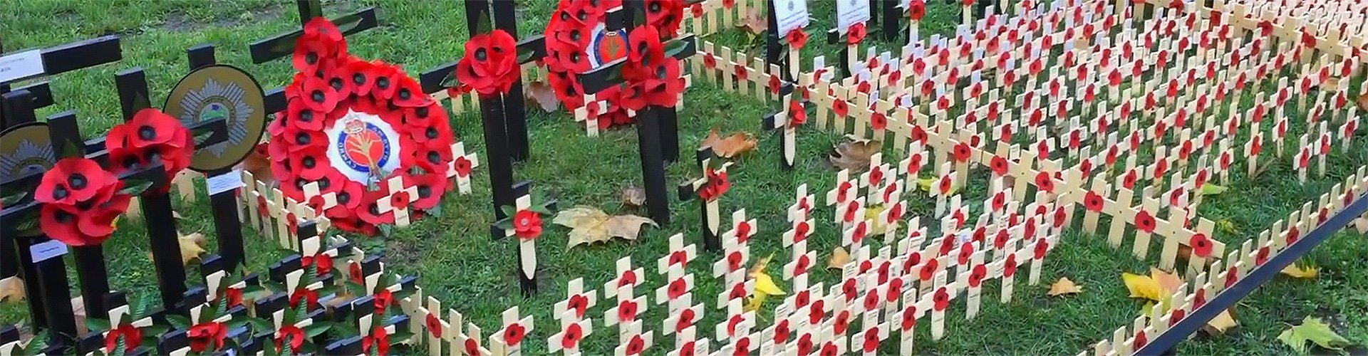 Field of Remembrance <br/> &nbsp; Time lapse project with The Poppy Factory